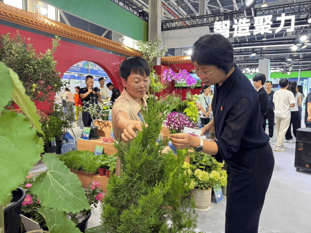 北京市统计局局长李素芳赴通州调研种业与现代农业发展，强调科技赋能与数据支撑